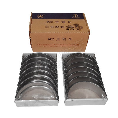 WP10  Main bearing