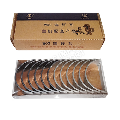 WP10 Connecting rod bearing